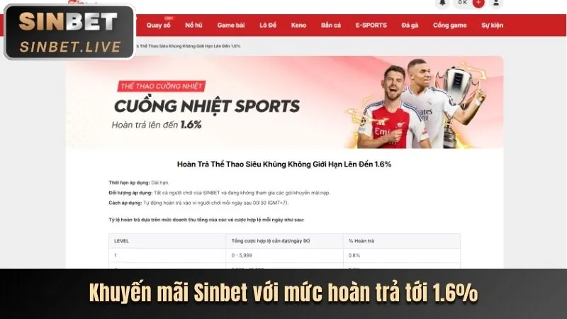 Minh bạch tỷ lệ hoàn trả người chơi (RTP) của Sbobet